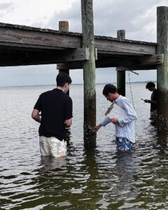 Students in Franklin Bell’s Honors Ecological Research Class collect samples at the school’s waterfront and dock. They are studying how organisms are arranged vertically in the intertidal zone based on their ability to tolerate environmental conditions such as wave action, desiccation, predation, or competition between different species.