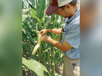 Farmers Hopeful For Favorable Growing Season