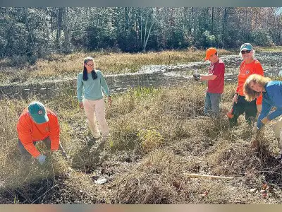 Historic Tree Sapling Planted in Essex County
