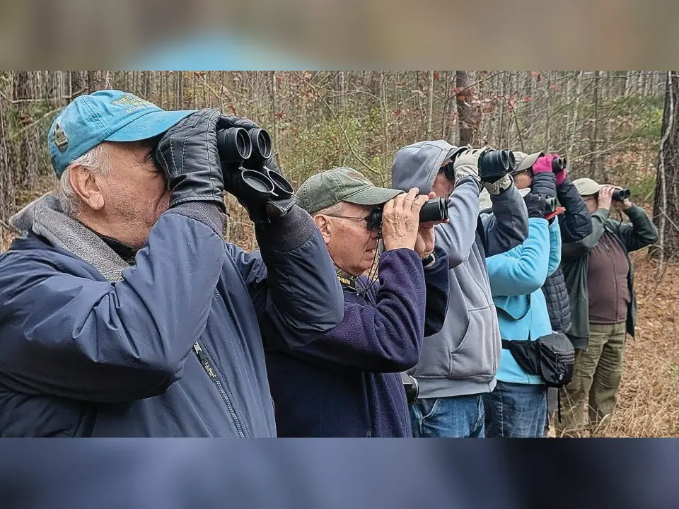 Bird Watchers At Rotary Poor House Park